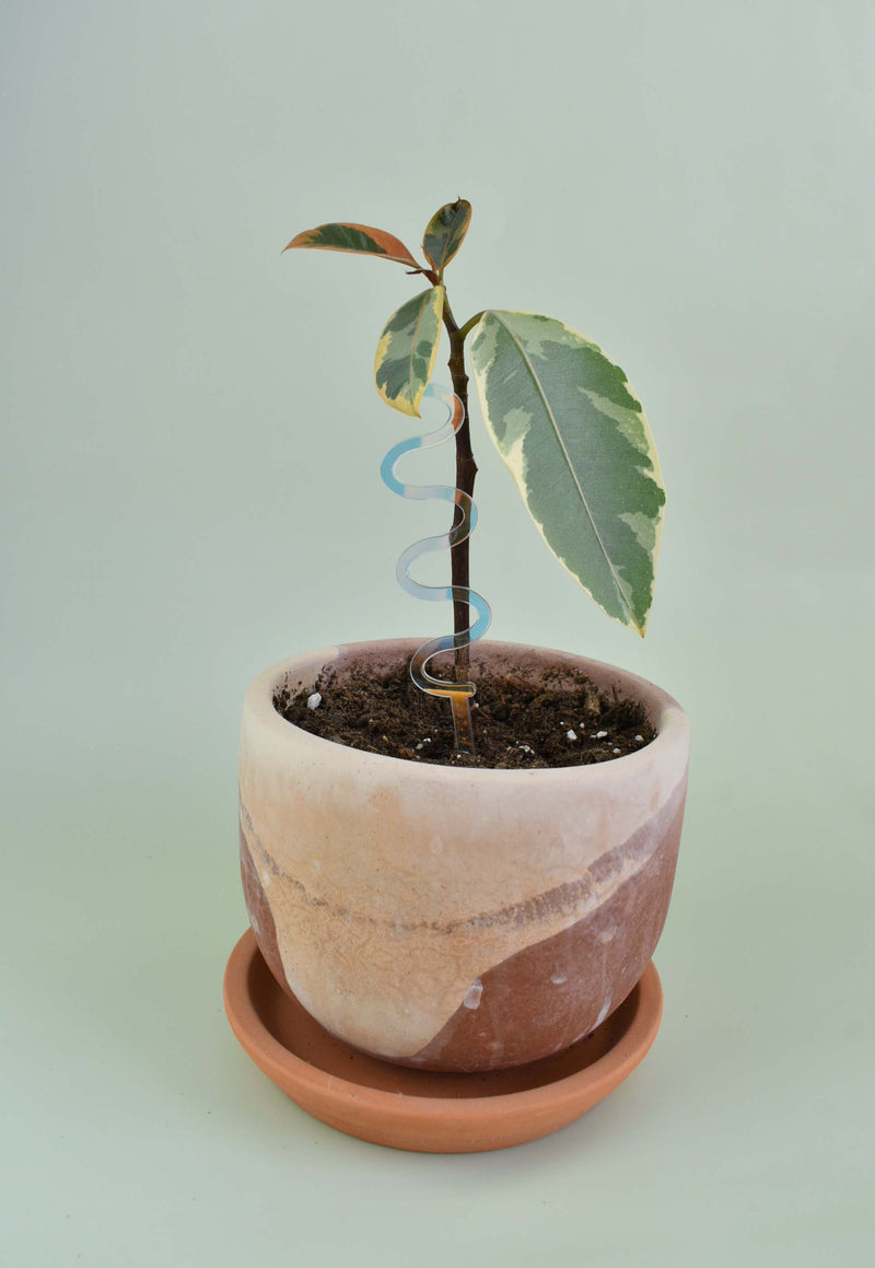 WAVY PLANT STAKE